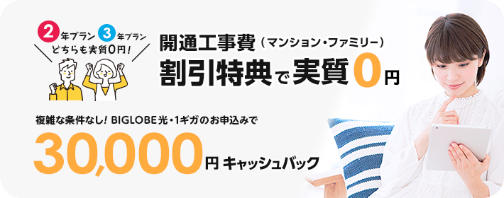 BIGLOBE光 1ギガ特典